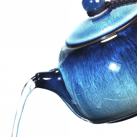 ARCTIC  TEAPOT
